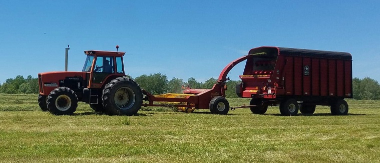 https://www.allischalmers.com/forum/uploads/242/Petersons_tractor_7095_small.jpg