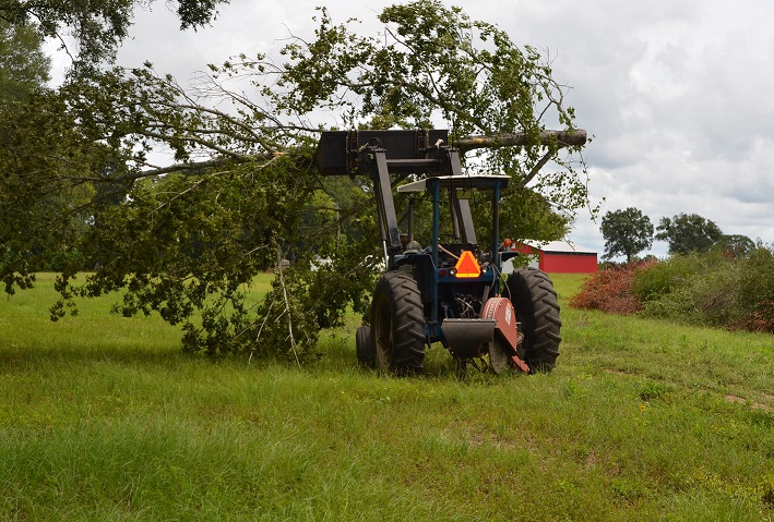 Ford 7700 Last Treetop of the Season